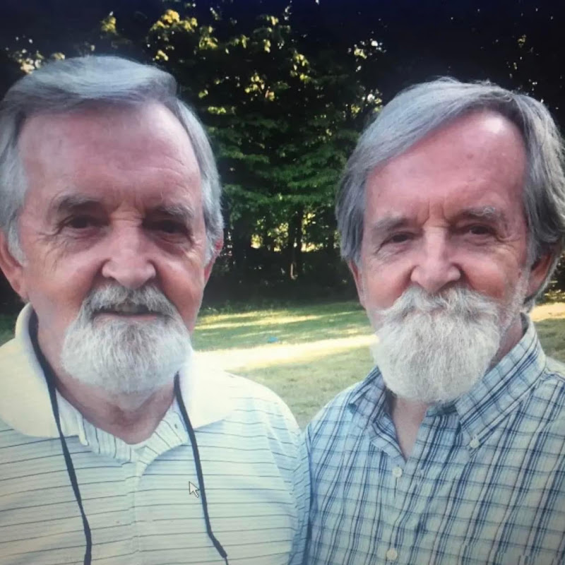 hanelinetwins