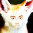 ZO4zdjrG1-8-channel-avatar-~Foxo's Fun House~