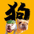 Rf7m1dd8jAI-channel-avatar-二狗司令