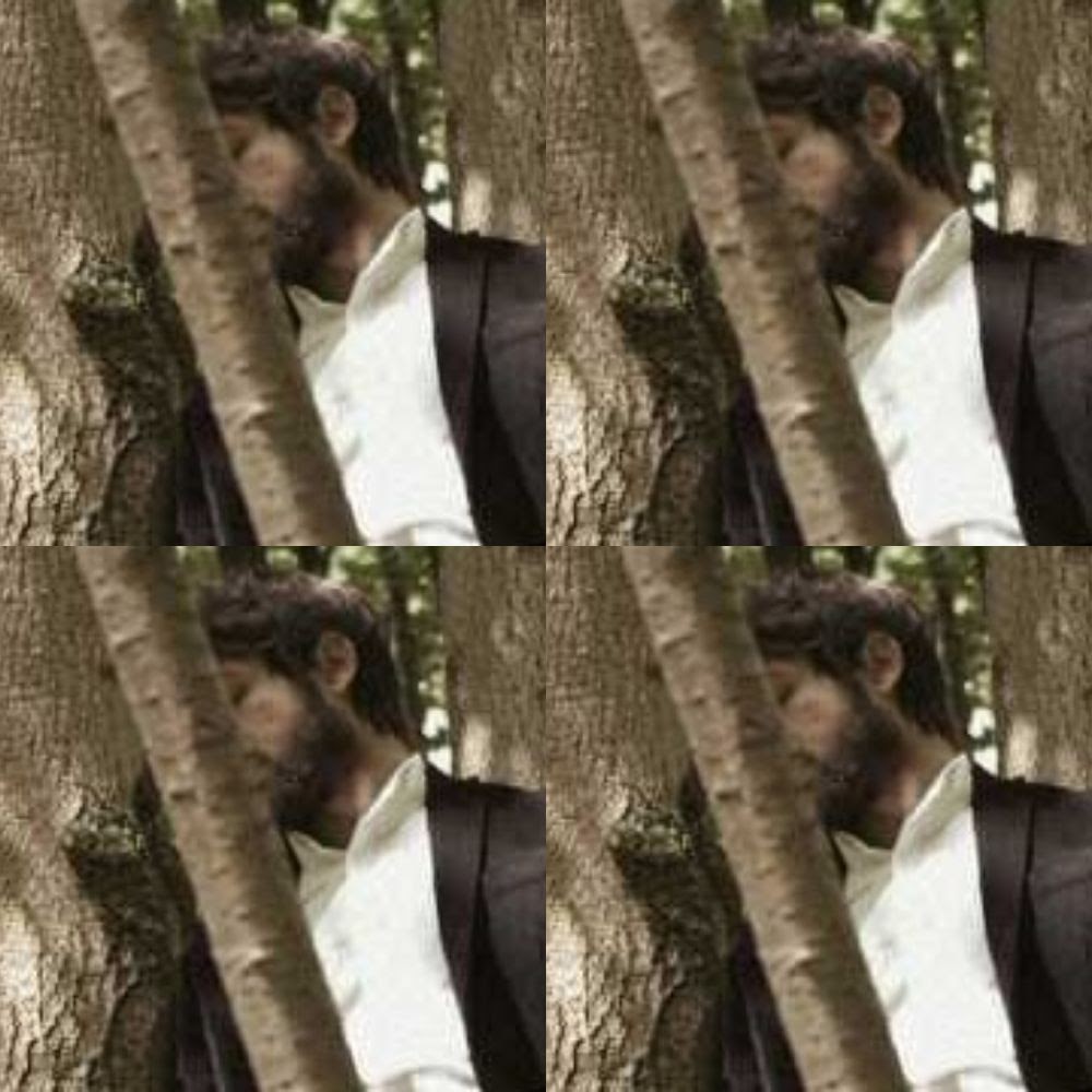 If u don't praise God-th rocks & trees will cry ou