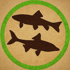 Wild About Fish