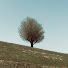 Y5wFAW-p3b4-channel-avatar-シフクノ