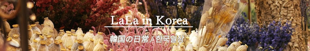 LaLa in Korea यूट्यूब चैनल अवतार