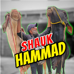 Shauk with Hammad Avatar