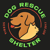 Dog Rescue Shelter, Serbia