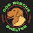 Dog Rescue Shelter, Serbia
