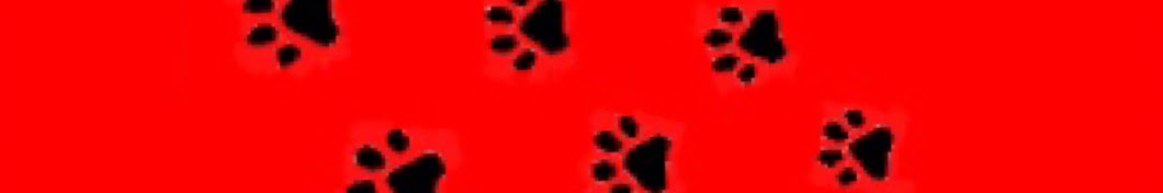 _Dog_ Paws_ Avatar channel YouTube 