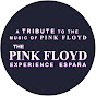 ThePinkFloydExperience-es logo
