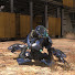 xUa0c8wPpVA-channel-avatar-RyloKen