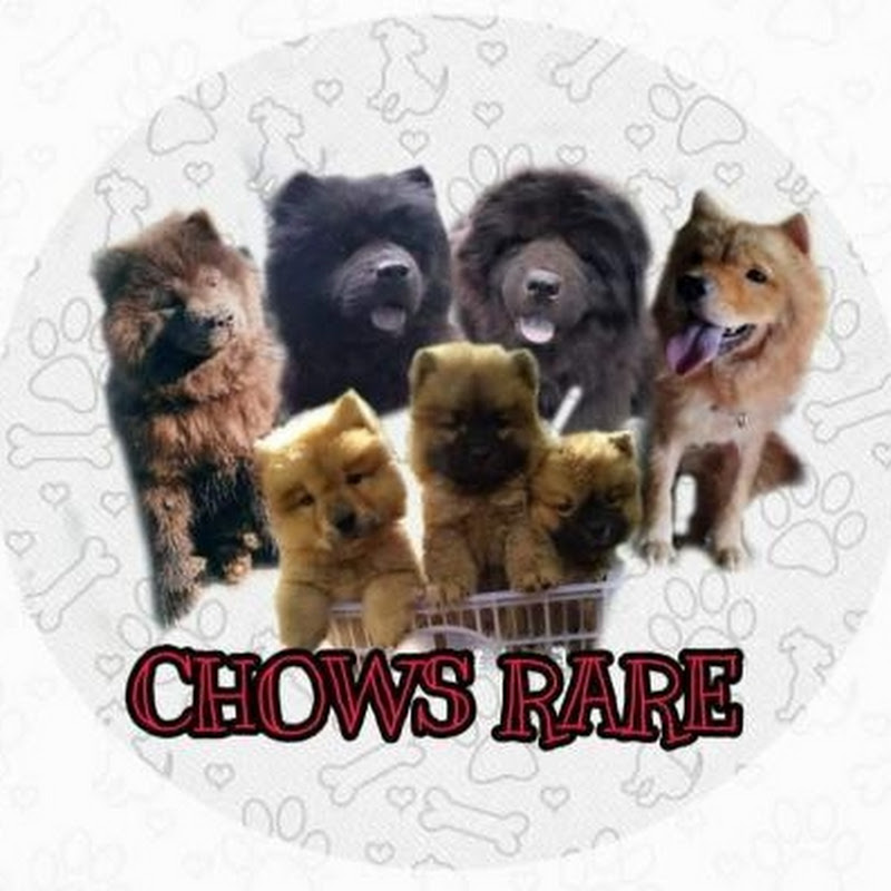 CHOWS RARE