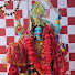 K5136lwL1Jk-channel-avatar-Let’s Ask Tarot (Hindi | Urdu | Bengali) 