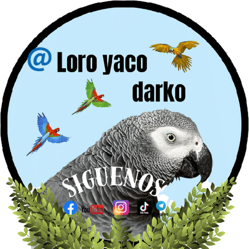 Loro yaco Darko