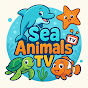 Sea Animals TV Avatar