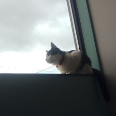 あかいろアイコン画像