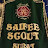 saifee scout surat