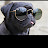 Avatar de @jimmyrecard8684