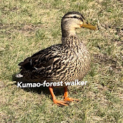 Kumao-forestwalker
