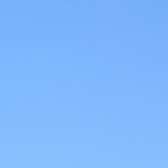 Kaze_Riverアイコン画像