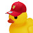 Formula Duck