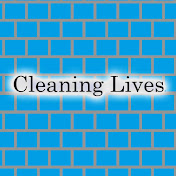 Cleaning Lives