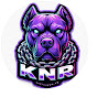 KNR: Freight Mysteries  logo