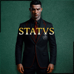 Mr.STATUS 
