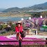 Mp384AAKnBc-channel-avatar-smail_정애TV