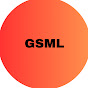 GlobalStockMarketLens logo