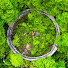 5T-0dC2wCUs-channel-avatar-Haiken 廃墟遺構空撮