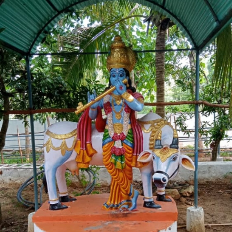 Hire Krishna cute family  — Family Challenges & Games YouTube creator for sponsorships