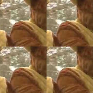 thumbnail img1x1