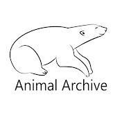 Animal Archive