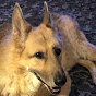 lawdog516
