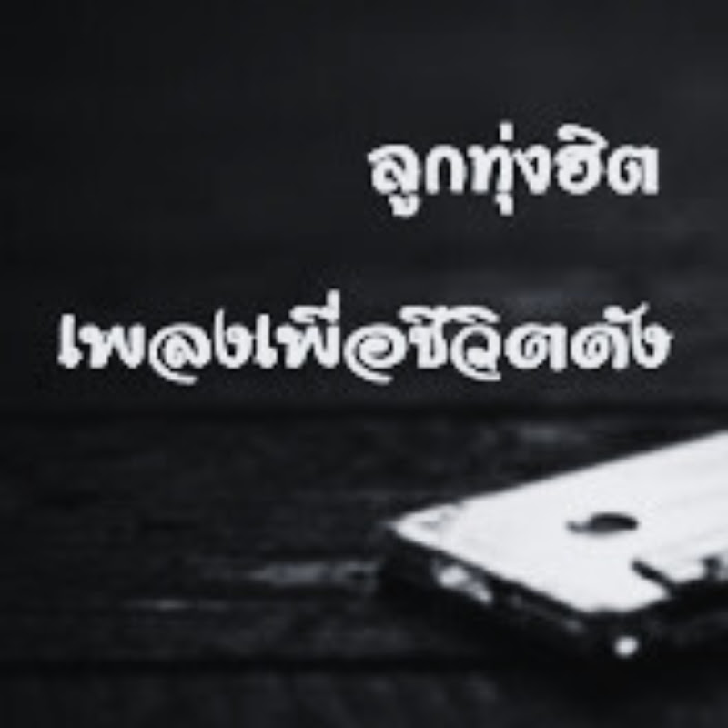 รวมเพลงลูกทุ่งฮิต เพลงเพื่อชีวิตดัง