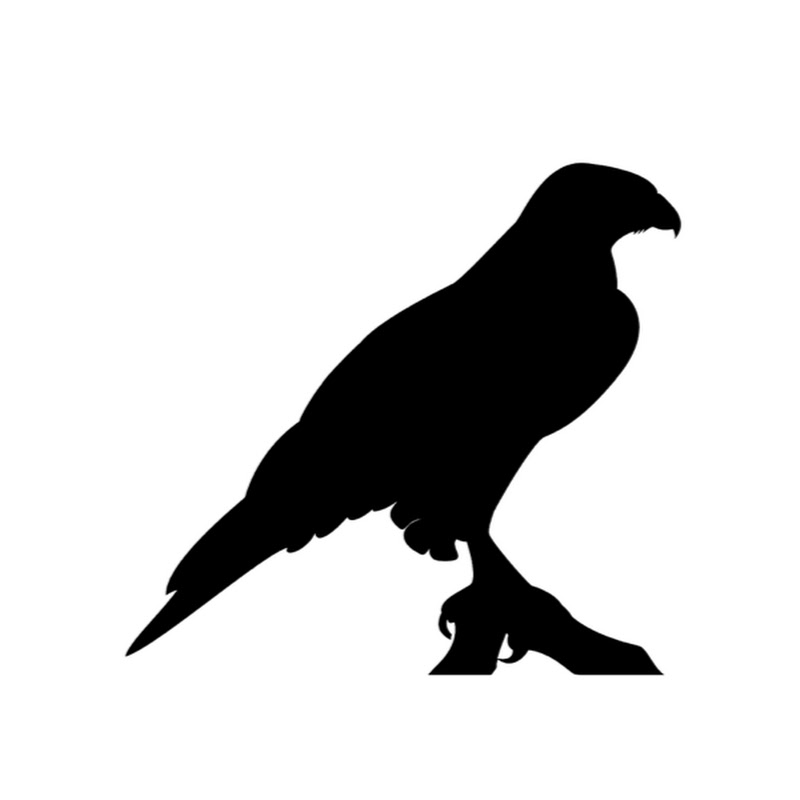 Hawk