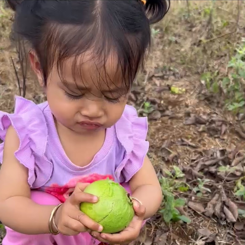 Mini Tractor and Mining Equipment