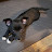 @Jahskater08-mw2uq