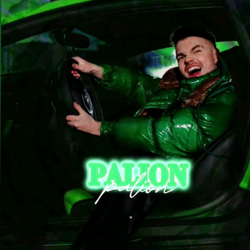ZielonyFanPaliona
