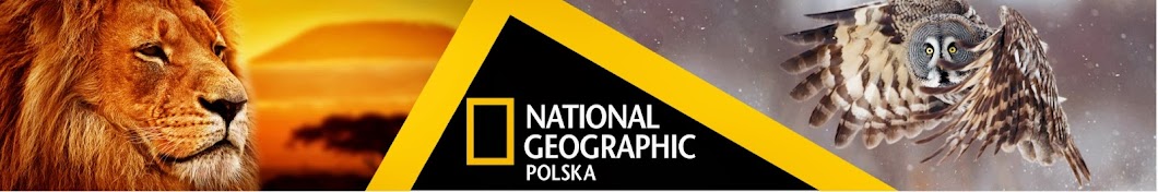 National Geographic Magazine Poland YouTube-Kanal-Avatar