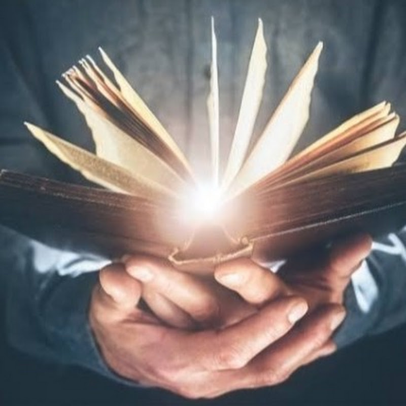 Paramporul foundation Follower