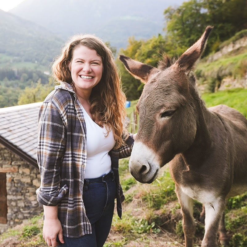 Raising Voyagers Logo