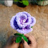 5ZBO3B8b6Xk-channel-avatar-Fun crafts