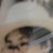 @무니-d5f