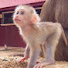 qLqwWGKymvU-channel-avatar-MonkeyBayon-Area