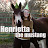 Henrietta the Mustang 