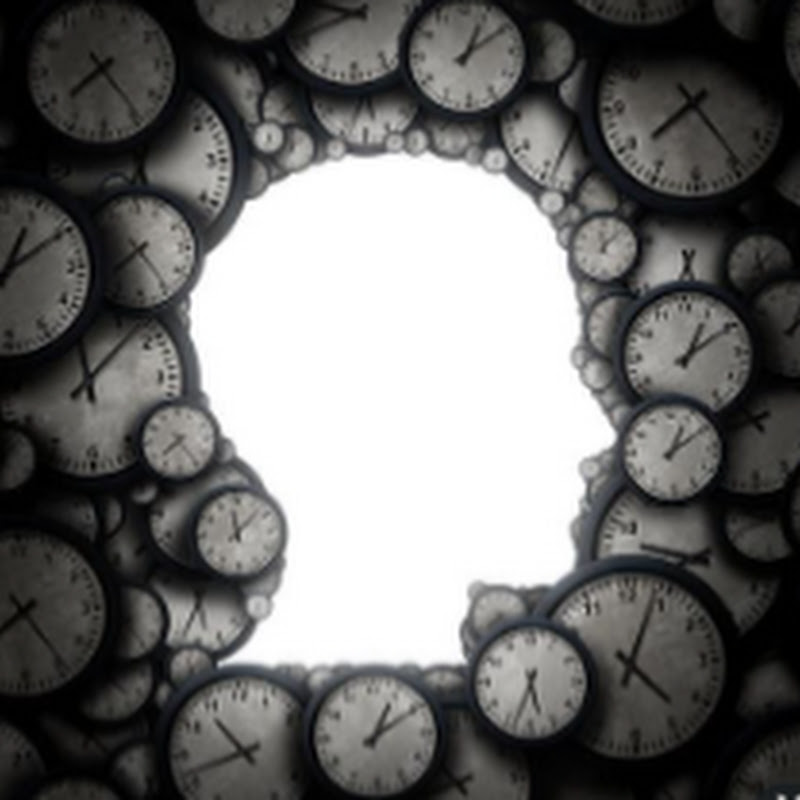 智慧收藏阁 Logo