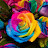 @Zumerkhalid-v9s Avatar