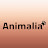 Animalia Channel