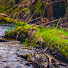 kmeh8RtpKOk-channel-avatar-ZIMORA NATURE