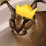 Sau6nh-ubCk-channel-avatar-Floppa King